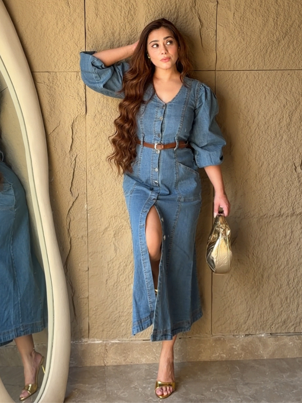 Classic Curve Denim Dress