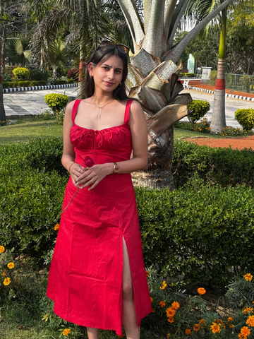 Red Rose Bustier Dress